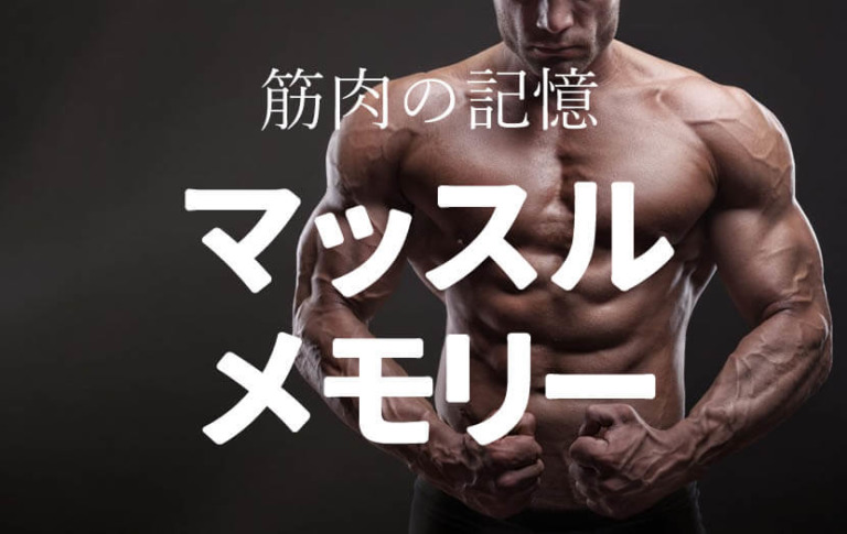 マッスルメモリー（筋肉の記憶）の科学的根拠を39歳でも体現できた