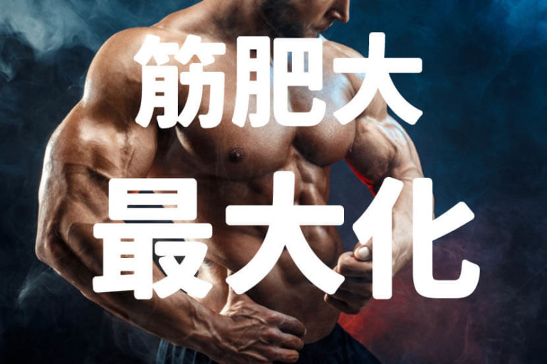 筋肥大は追い込み回数ではない！筋トレ初心者と上級者の総負荷量の考え方