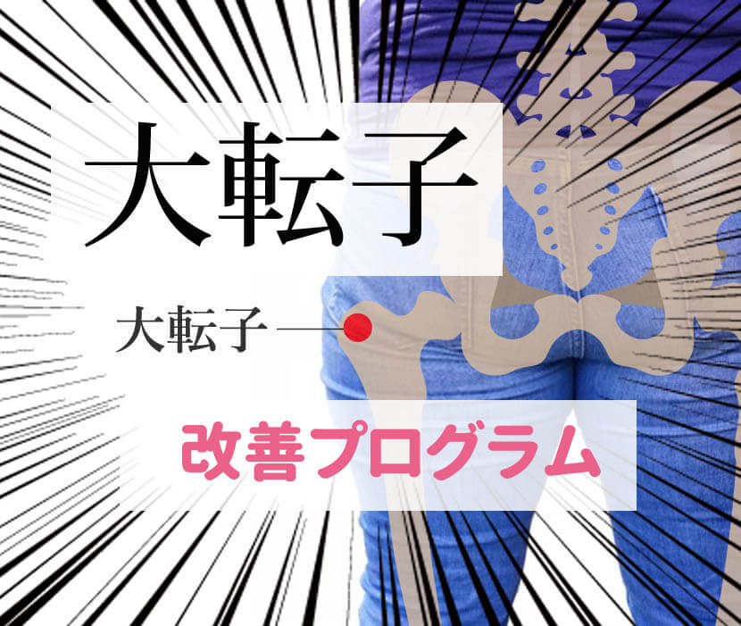 大転子を引っ込める方法 太もも横の出っ張りを解消する深層外旋六筋トレーニング Qitano キタノ カラダづくりラボ