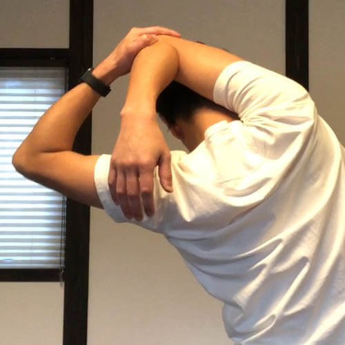 肩の筋肉を緩めるストレッチ【#広背筋 #僧帽筋 #前鋸筋 #三角筋後部】