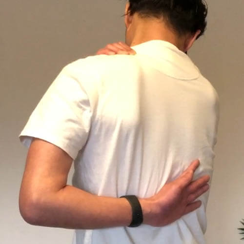 肩をほぐすストレッチ【#僧帽筋 #前鋸筋 #肩甲挙筋 #肩甲骨】