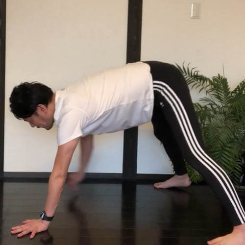 体幹中心の全身トレーニングダイエット（#腹直筋 #前鋸筋 #外腹斜筋 #内腹斜筋）