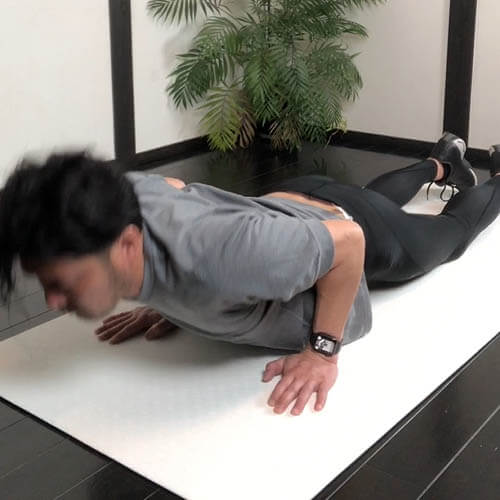 腕トレと体幹の柔軟性ならモディファイト 柔道 プッシュアップ