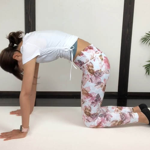 猫のポーズで背骨を縮めて、伸ばす背中の柔軟性が高まる 50秒ストレッチ
