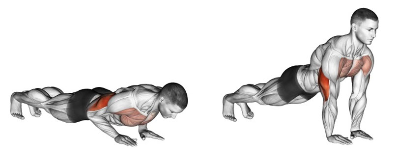 ナロープッシュアップで鍛えられる上腕三頭筋と大胸筋の図