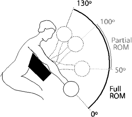 両トレーニンググループ（FULLおよびPARTIAL）で行った肘関節の屈曲可動域（ROM）について