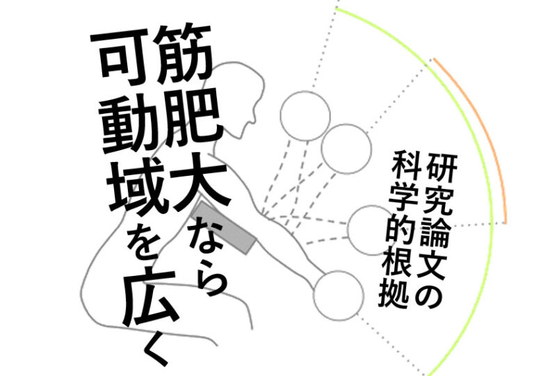 可動域の広い筋トレが筋肥大効果を高める｜研究論文から解説