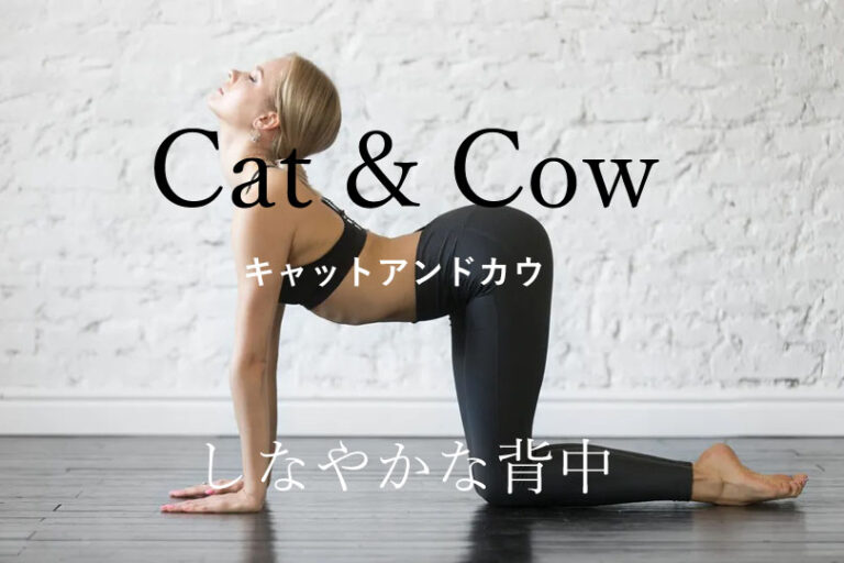 キャットアンドカウ（キャットアンドドッグ）効果的なやり方と応用メニュー