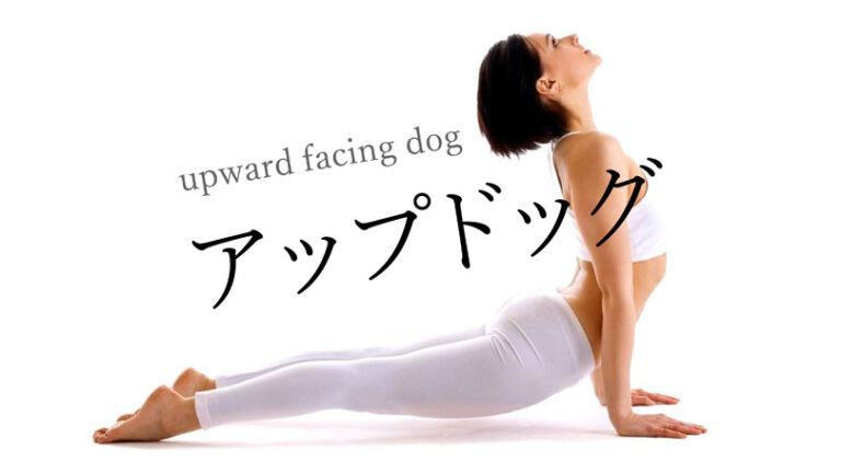 アップドッグ（上を向いた犬のポーズ）効果的なやり方と応用メニュー