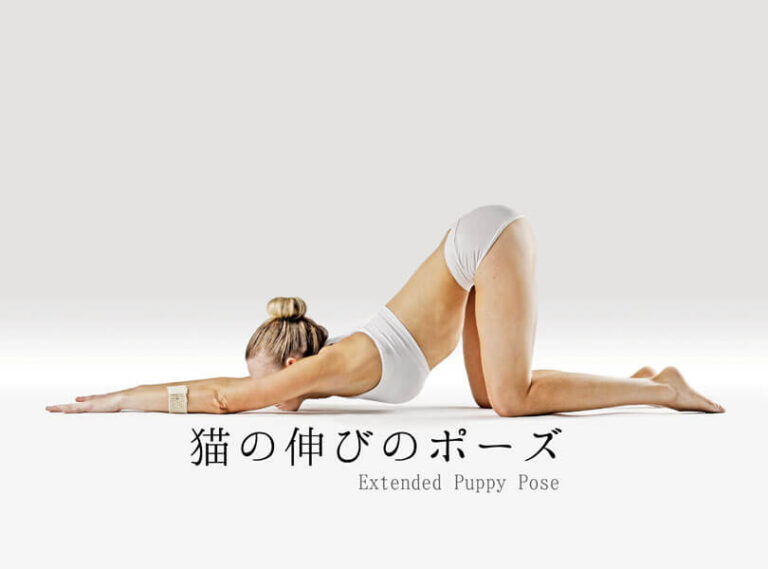 猫の伸びのポーズ（子犬の伸びのポーズ）の効果的なやり方と応用メニュー