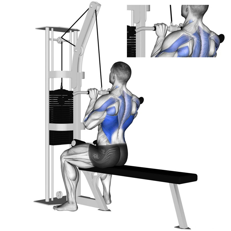 ラットプルダウンの効果的なやり方｜背中の広背筋を鍛えるトレーニング｜QITANO ® 北野カラダづくりラボ