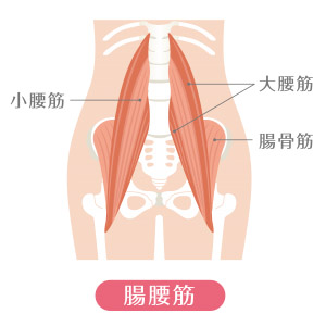 腸腰筋