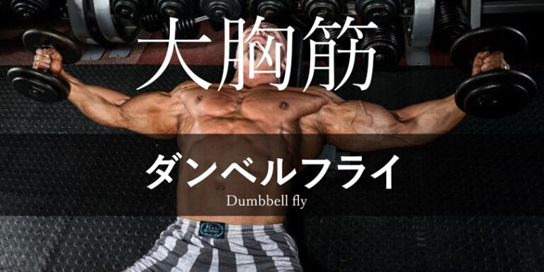 ダンベルフライの効果的なやり方｜大胸筋を鍛えるトレーニング