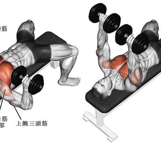 【受取先決定】可変式ダンベルとベンチプレス 筋トレ ベンチプレス ダンベル