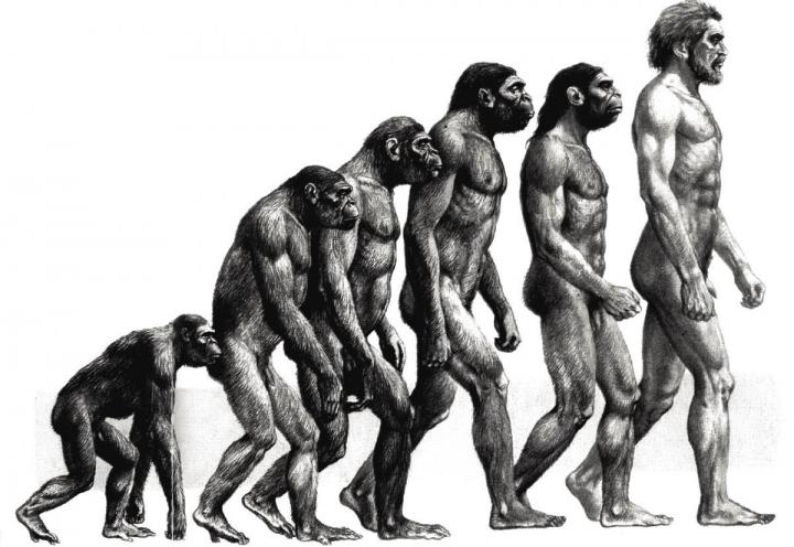『種の起源』でダーウィン人間の進化