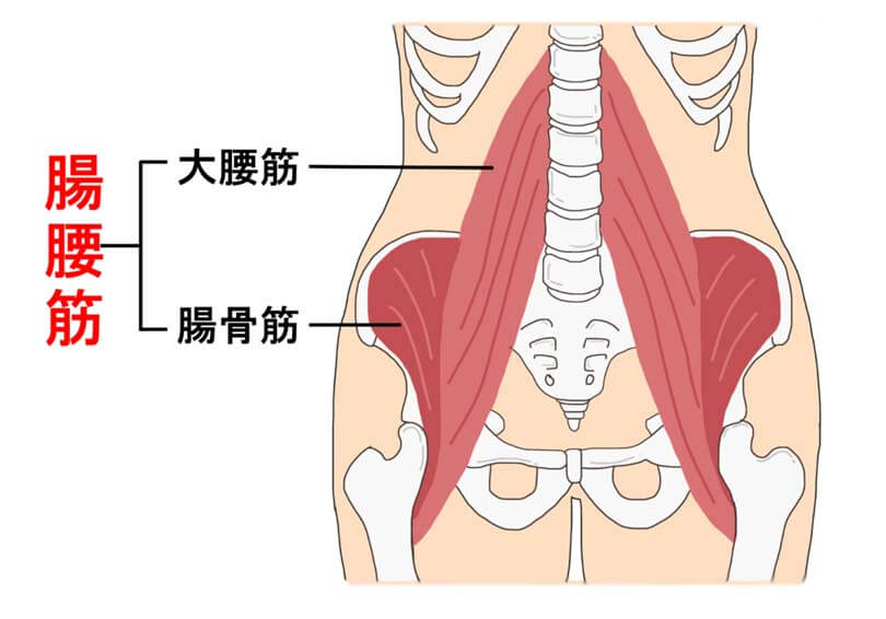 腸腰筋