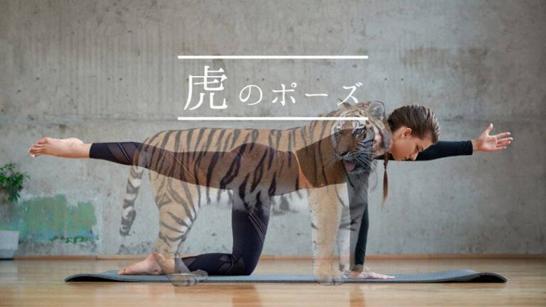 虎のヨガポーズ（バランステーブルのポーズ）効果的なやり方とヨガ応用メニュー