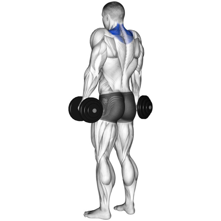 ダンベルシュラッグ