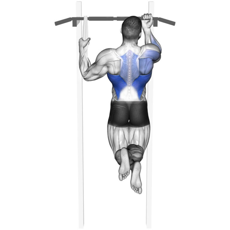 ワンアームプルアップ｜片手懸垂（上腕二頭筋）