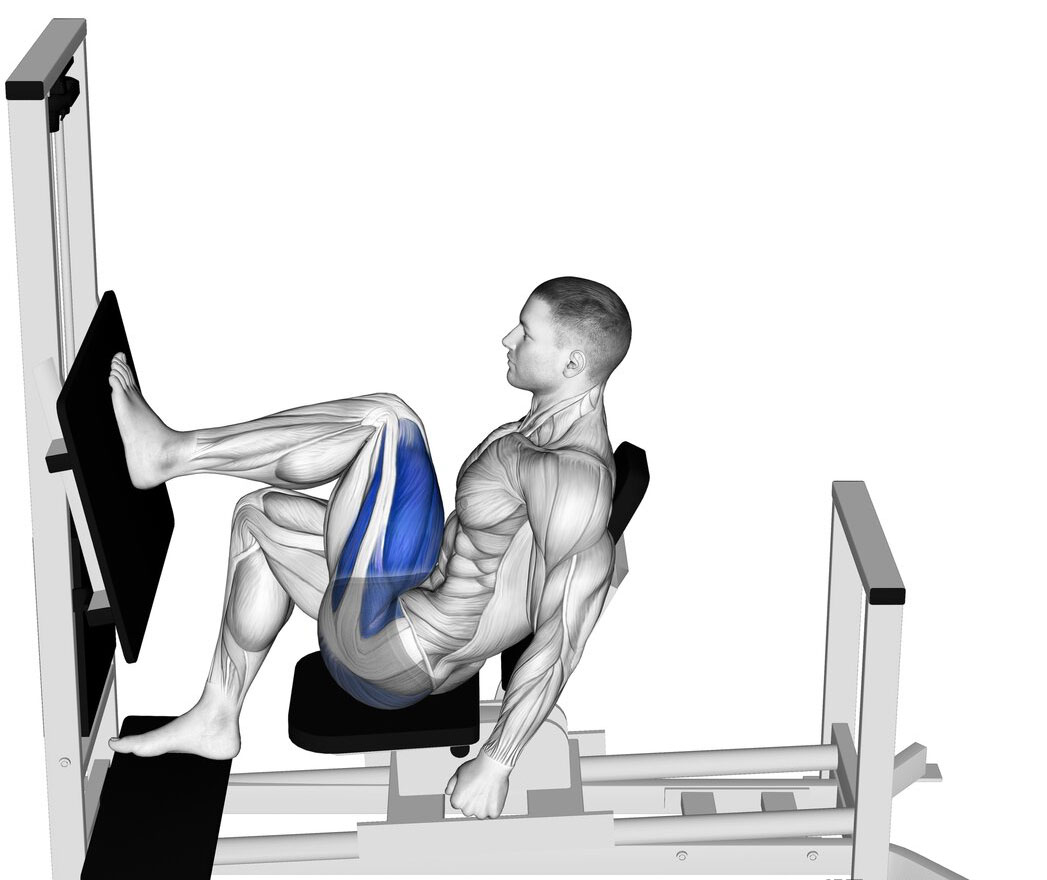 シングルレッグプレス｜片方ずつ大腿四頭筋や下腿三頭筋を鍛える