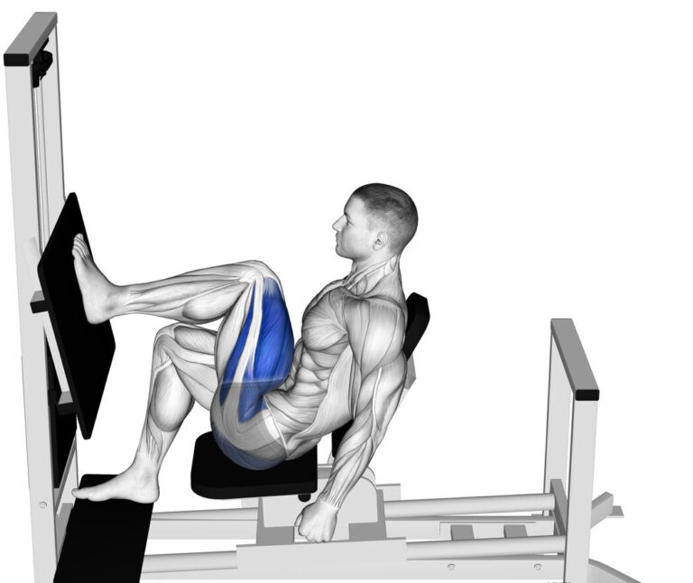シングルレッグプレス｜片方ずつ大腿四頭筋や下腿三頭筋を鍛える