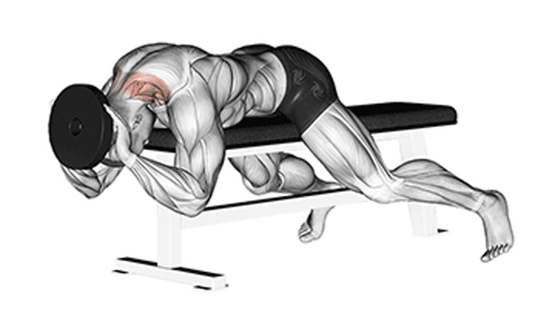 ネックエクステンションの効果と発達する筋肉部位
