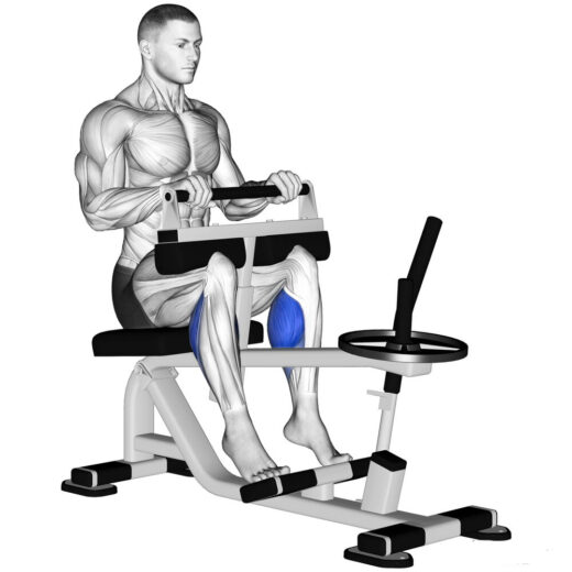 seated-calf-raise-1000x1000-1-