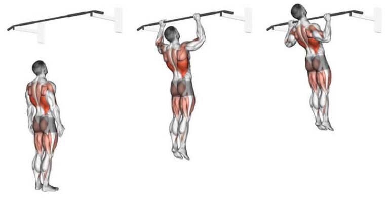 プルアップの効果と発達する筋肉部位