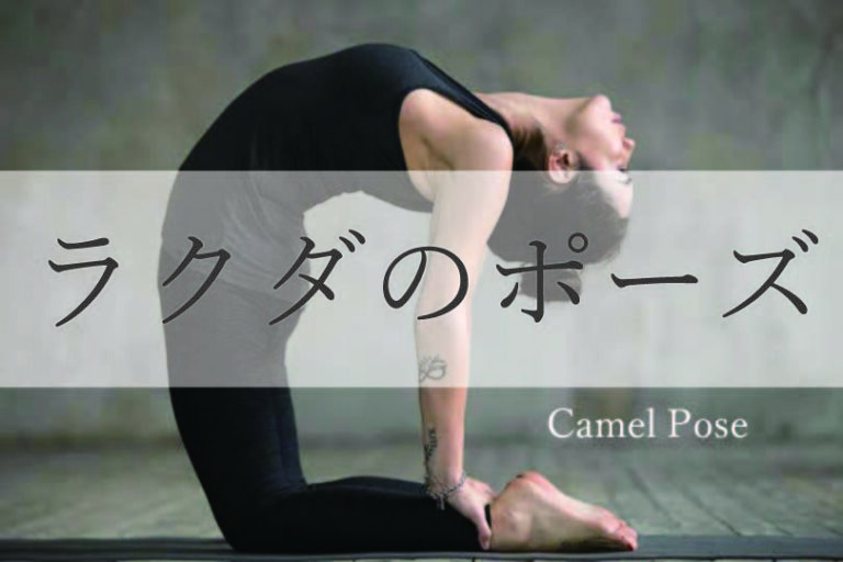 ラクダのポーズアイキャッチ画像