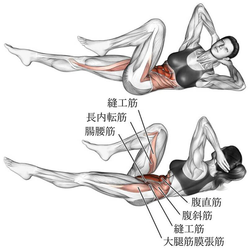 バイシクルクランチの効果と発達する筋肉部位
