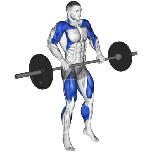 ハイクリーンpower-clean-