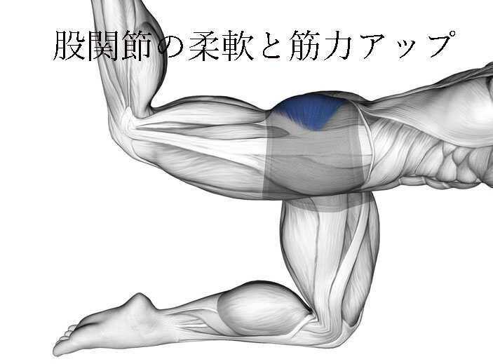 股関節の柔軟と筋力アップ