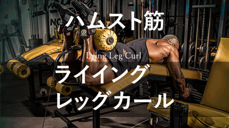 ライイングレッグカールの効果的なやり方｜ハムストリングスを鍛えるトレーニング