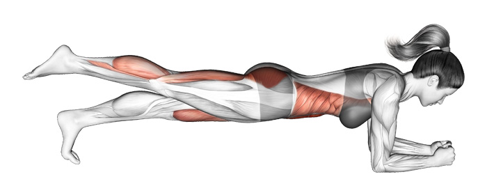 プランクレッグレイズの効果と発達する筋肉部位