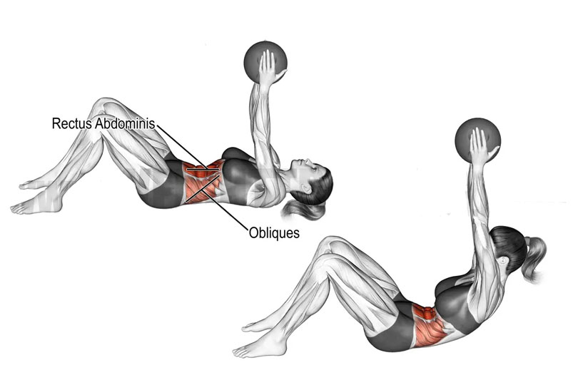 ダンベルクランチの効果と発達する筋肉部位