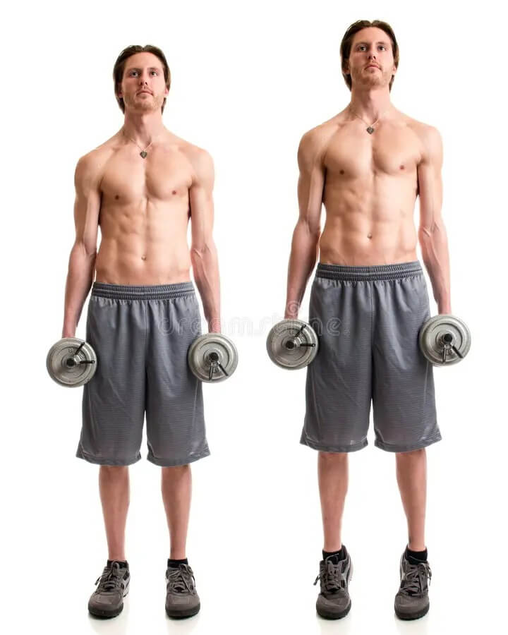 男性の体重別ダンベルカーフレイズ基準（kg）
