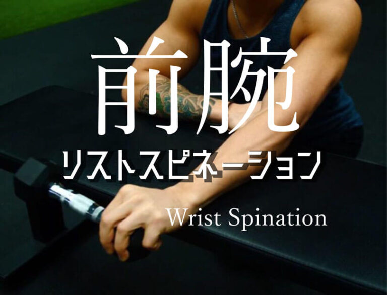 リストスピネーションの効果的なやり方｜前腕筋群を鍛えるトレーニング