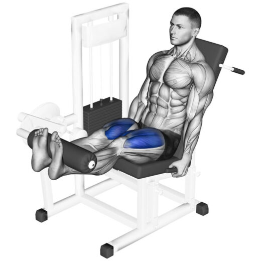 レッグエクステンション 340 レッグエクステンション | gymlecojapan