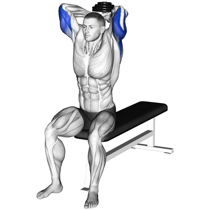 シーテッドダンベルトライセプスエクステンションseated-dumbbell-tricep-extension-1000x1000