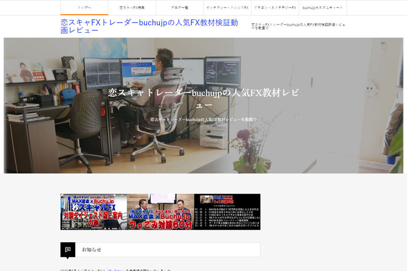 FX教材検証レビューサイトTCDテーマ「EVERY」事例サイト