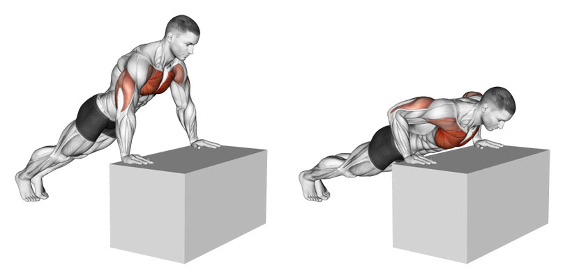 斜め腕立て伏せ（インクラインプッシュアップ）の効果と発達する筋肉部位