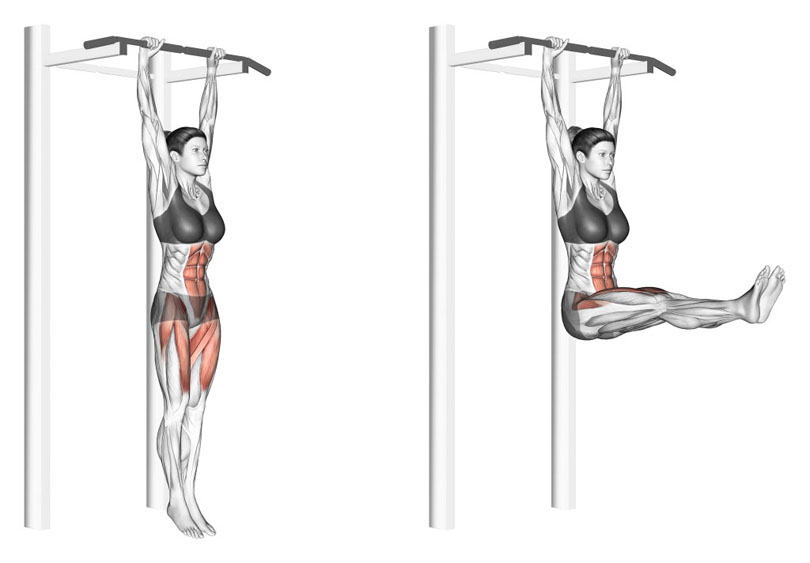 ハンギングレッグレイズの効果と発達する筋肉部位