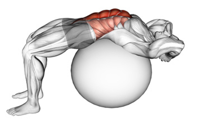 バランスボールクランチの効果的なやり方