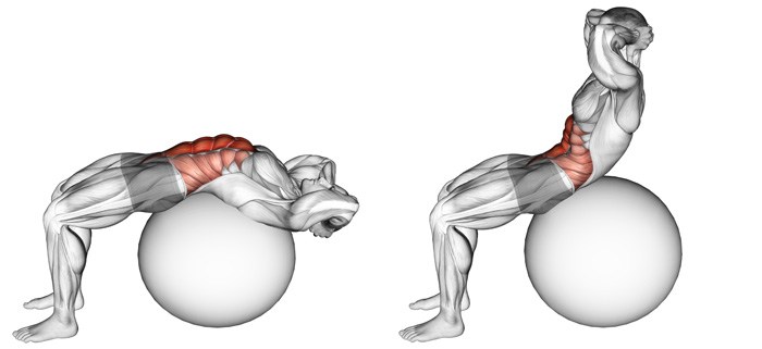 バランスボールクランチの動作手順