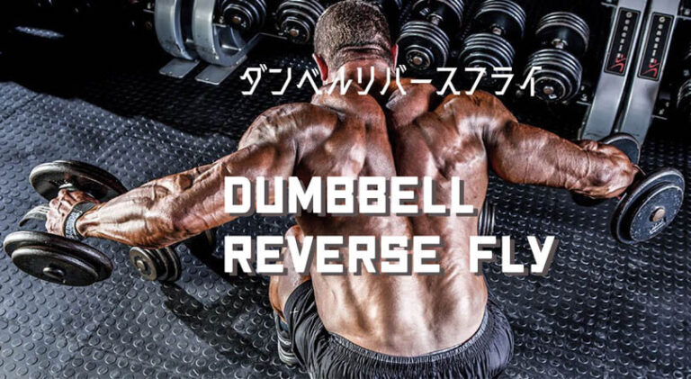 ダンベルリバースフライの効果的なやり方｜僧帽筋・三角筋後部・菱形筋を鍛えるトレーニング