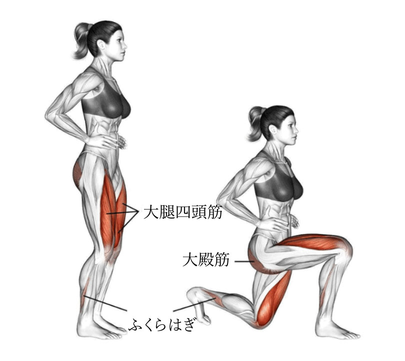 リバースランジの効果と発達する筋肉部位
