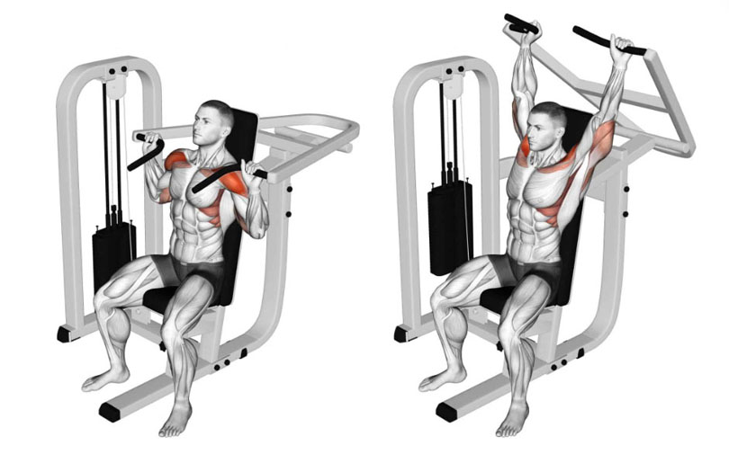 マシンショルダープレスの効果と発達する筋肉部位