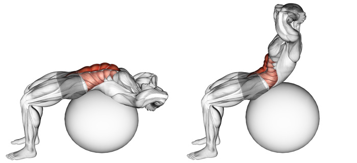 バランスボールクランチの効果と発達する筋肉部位