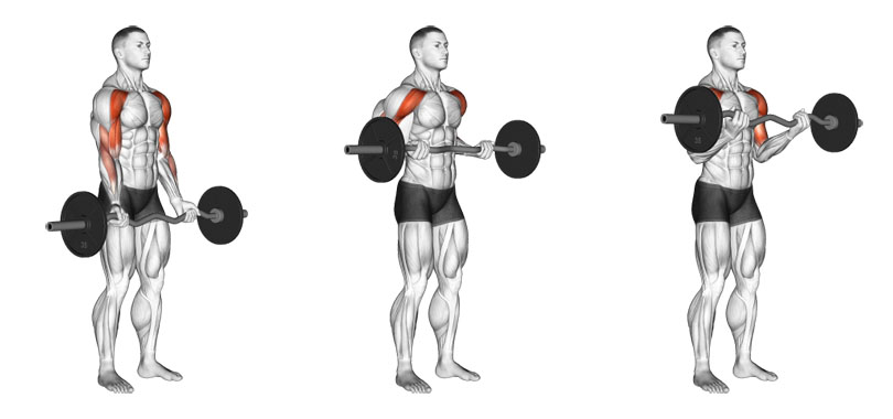 ドラッグカールの効果と発達する筋肉部位
