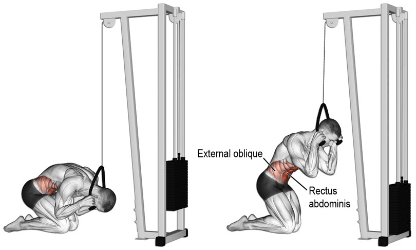 ロープクランチの効果と発達する筋肉部位